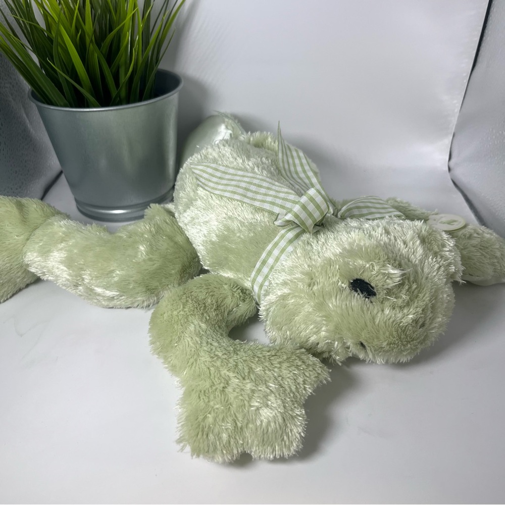 New Barrington Baby Soft‎ Green Plush Frog Toy Cuddle Lovey